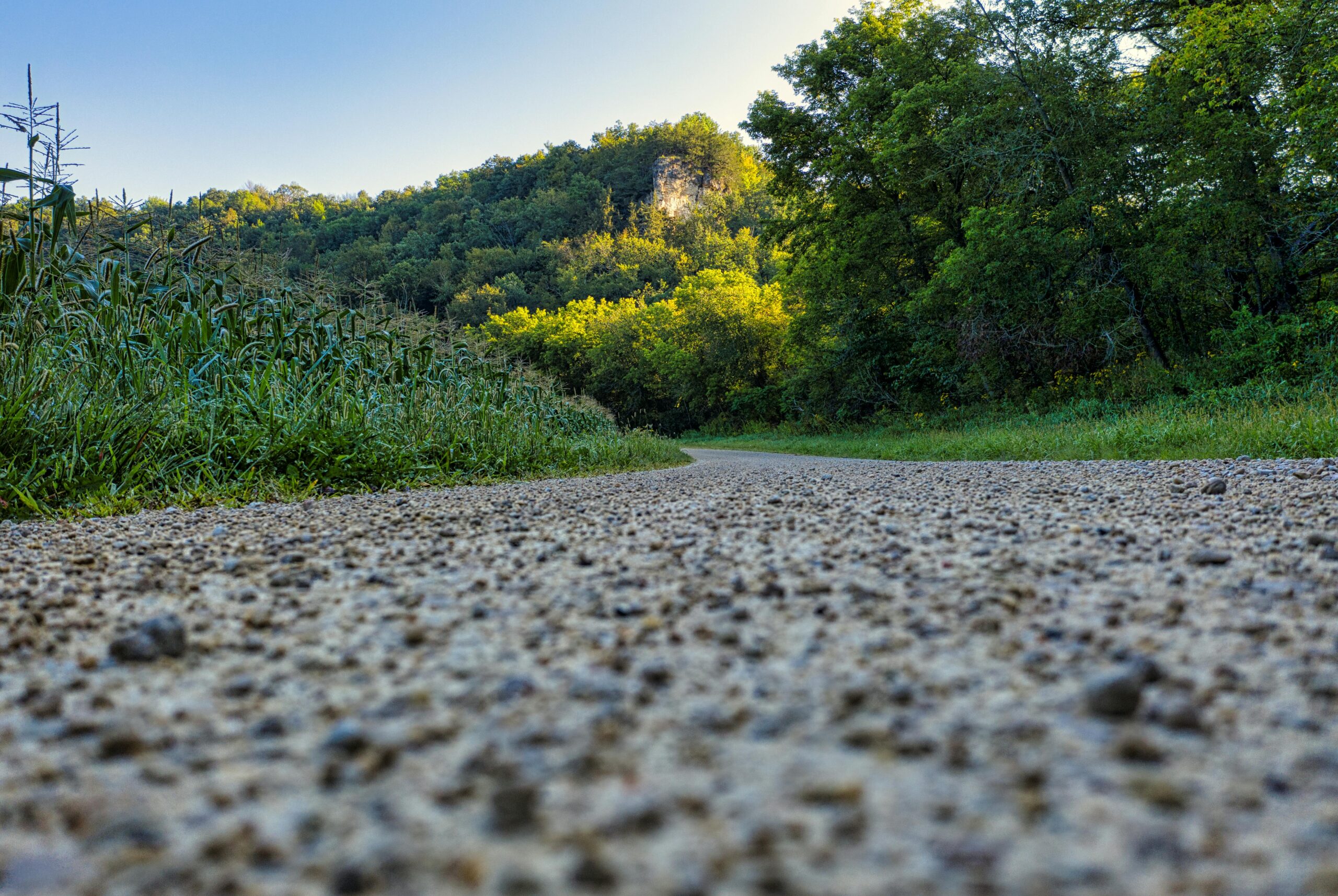 Top 6 Lightweight Hiking Boots for Midwest Summers & Humid Trails