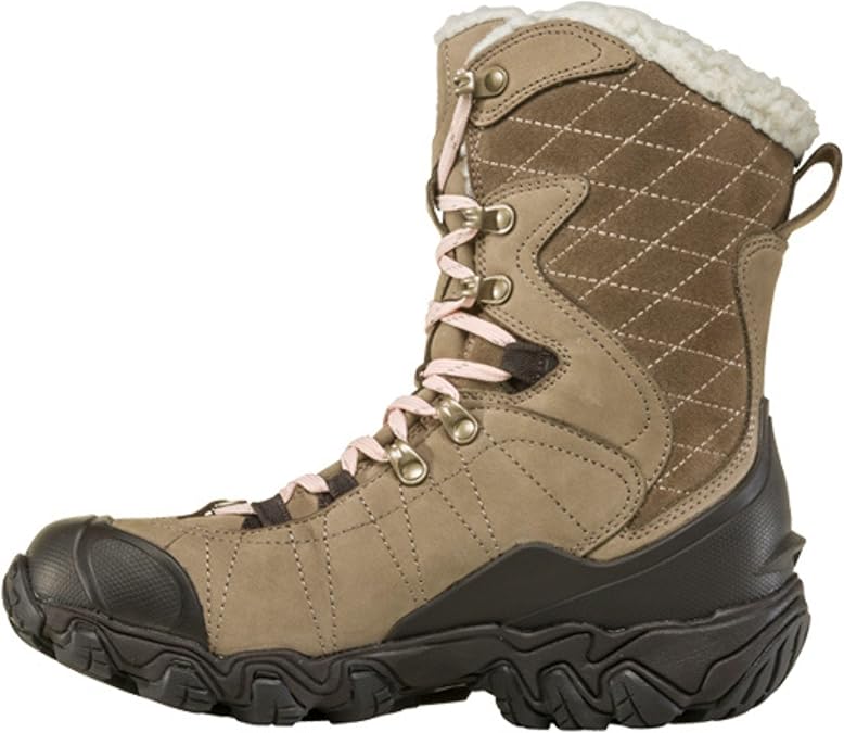 Oboz Bridger 9" Insulated