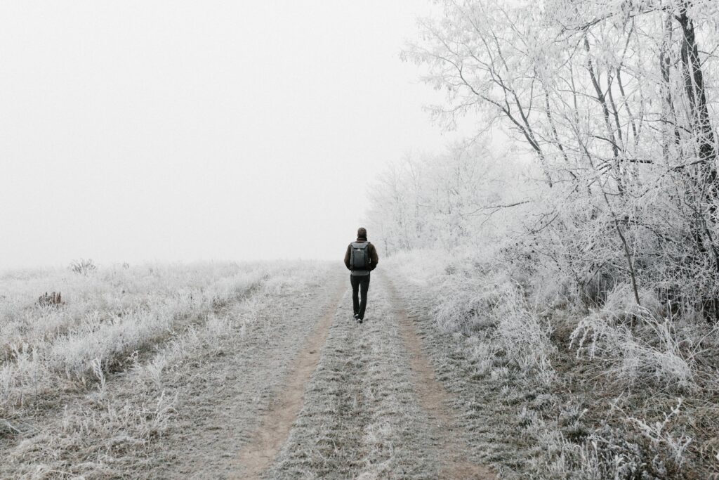 Walking Through Snow Strom