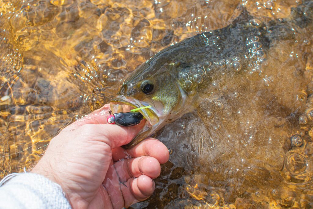 Best Bass Fishing Rods