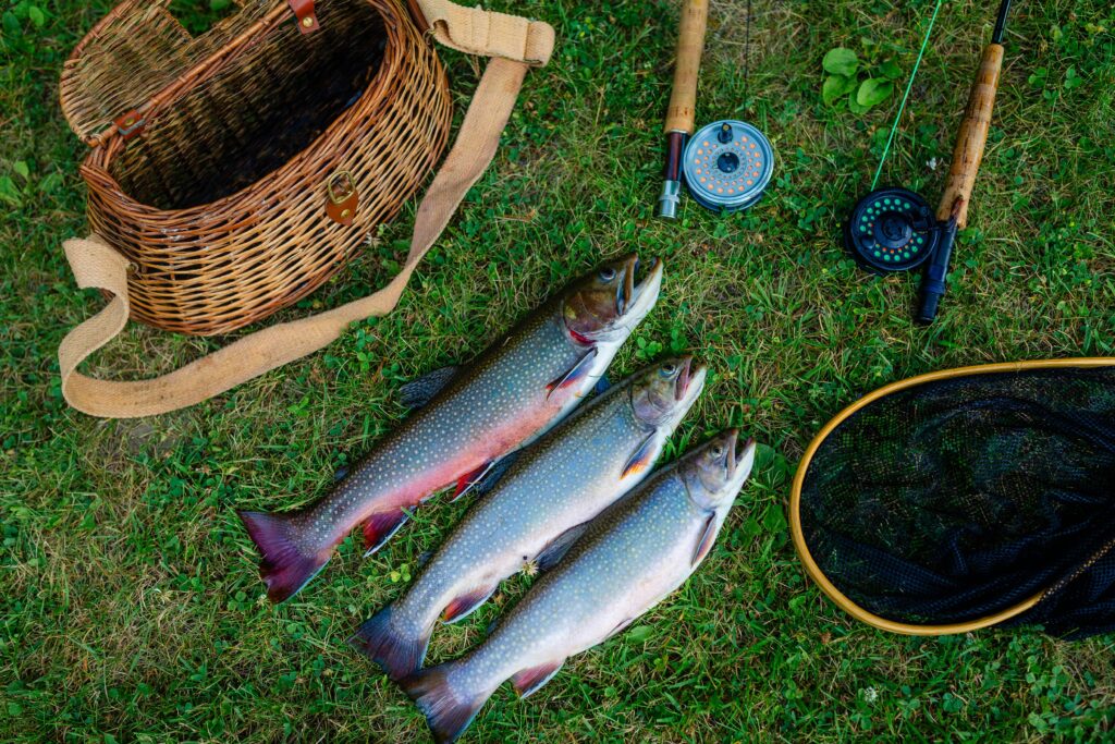 Best Fly Fishing Rods