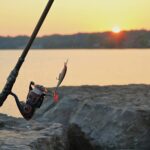 Best Fishing Reels Under $50