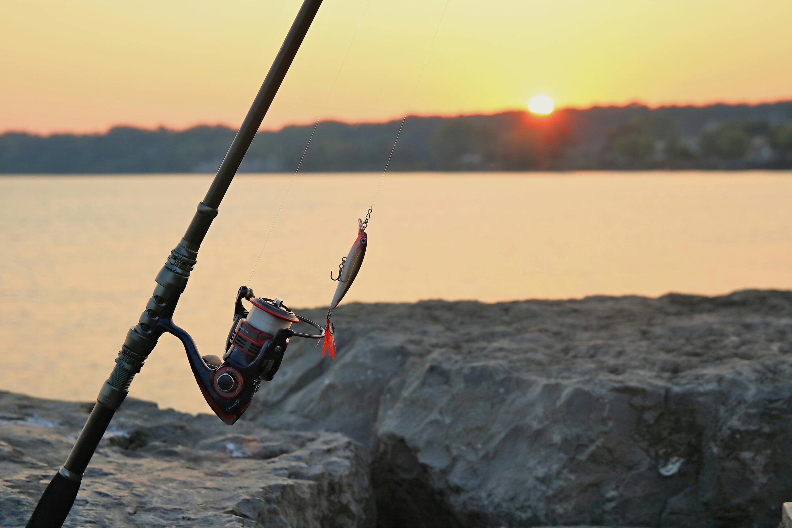 Best Fishing Reels Under $50