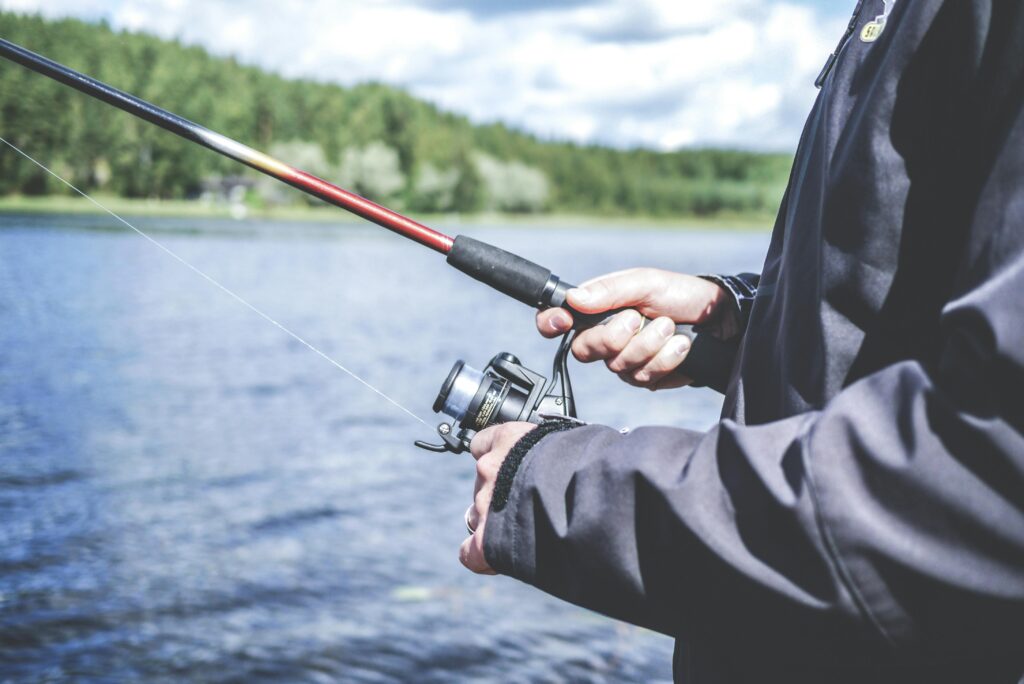 Budget Fishing Reels